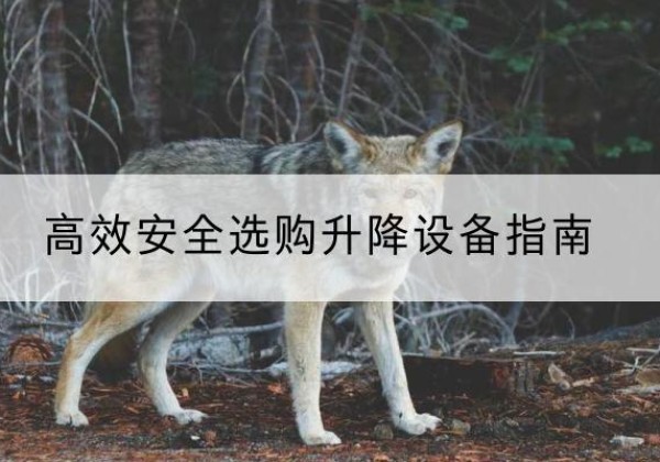 铜梁区升降货梯厂家推荐-*安全选购升降设备指南