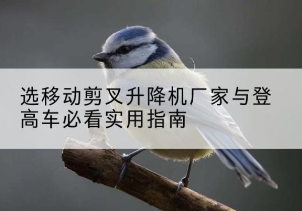 铜梁区电动升降机厂家-选移动剪叉升降机厂家与登高车必看实用指南