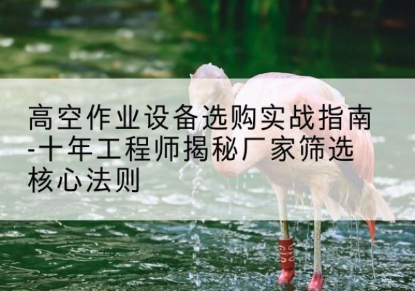 铜梁区剪叉式升降机厂家-高空作业设备选购实战指南-十年工程师揭秘厂家筛选核心法则